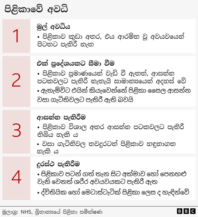 pilika 6