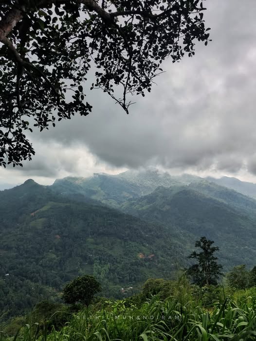කදුකර දිනය