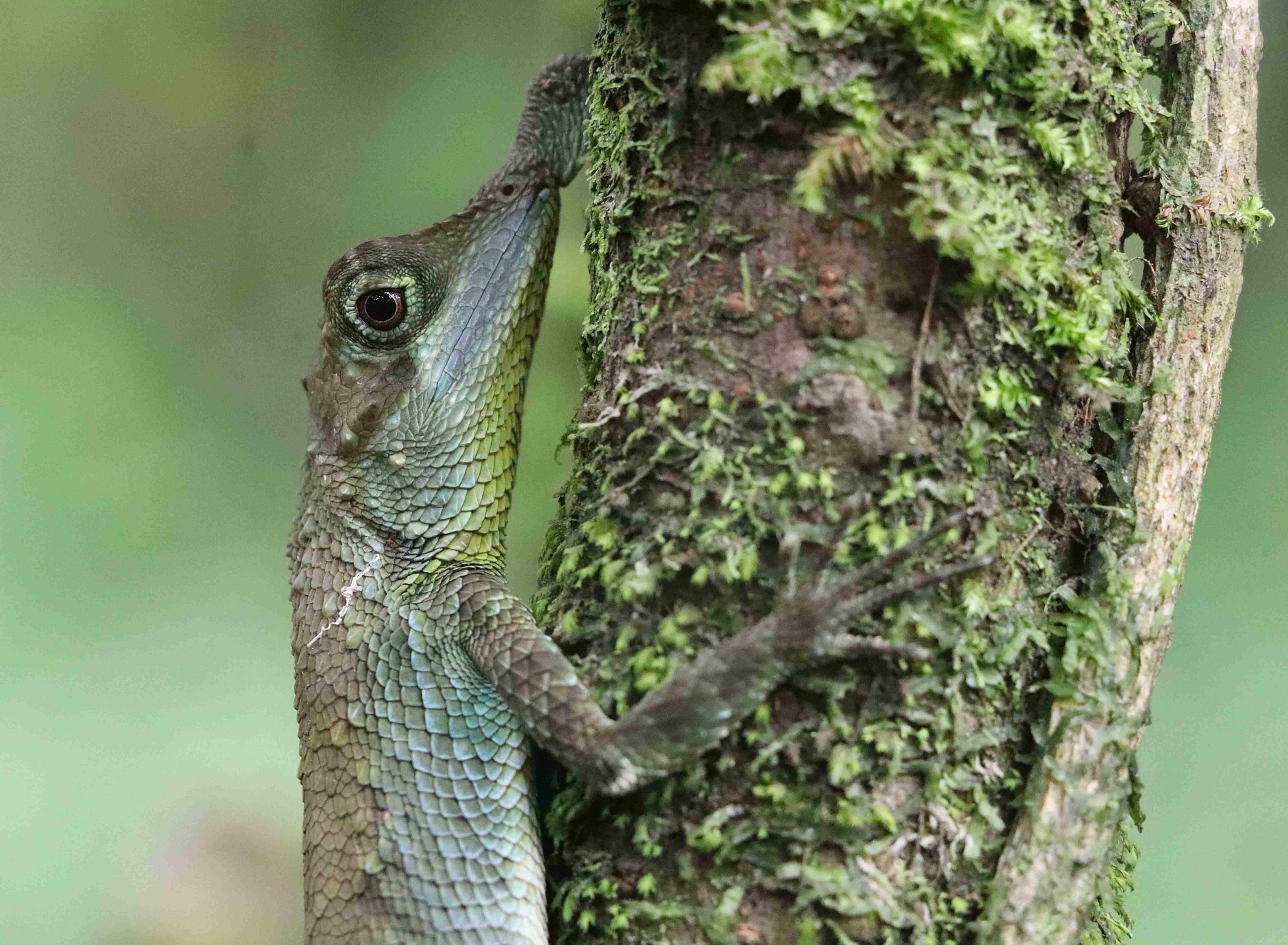 576106020 25166876956263718 3700871365183382020 n