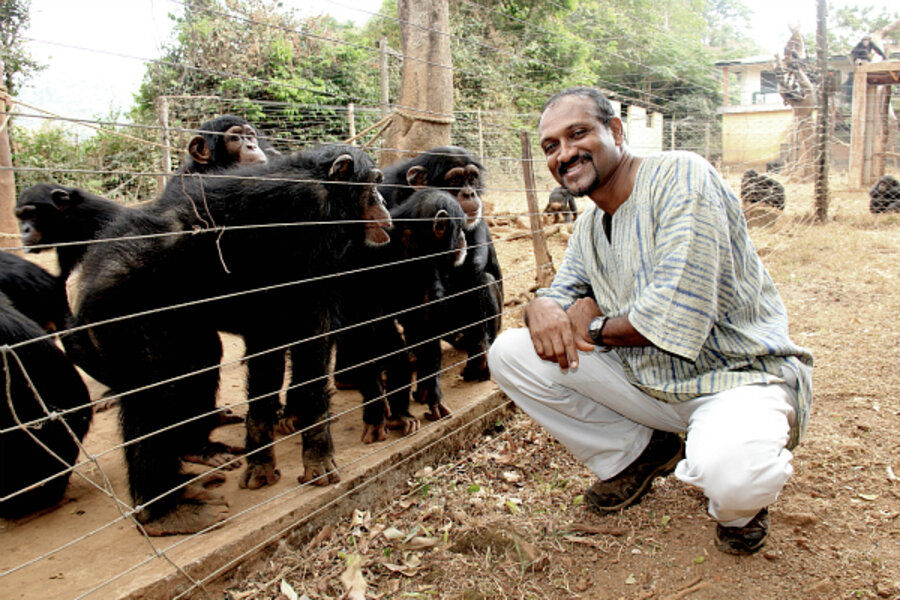 Bala with chimps