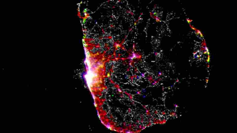 Sri Lanka Night Economy