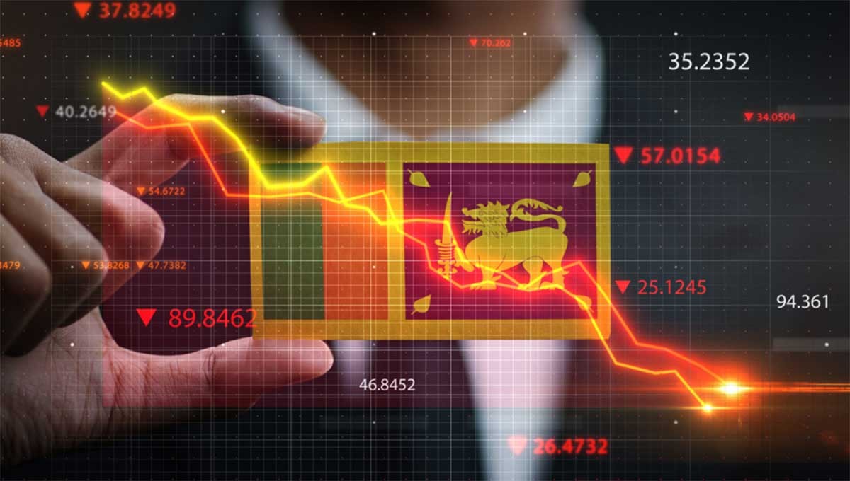 new econ repo