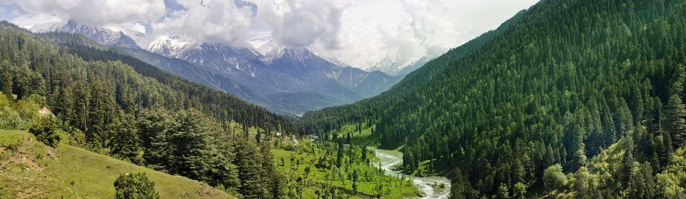 pahal 6