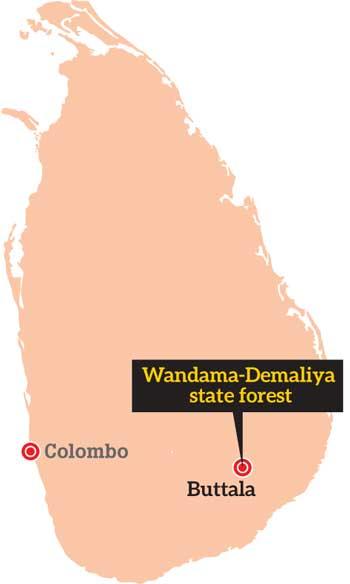 වන 3