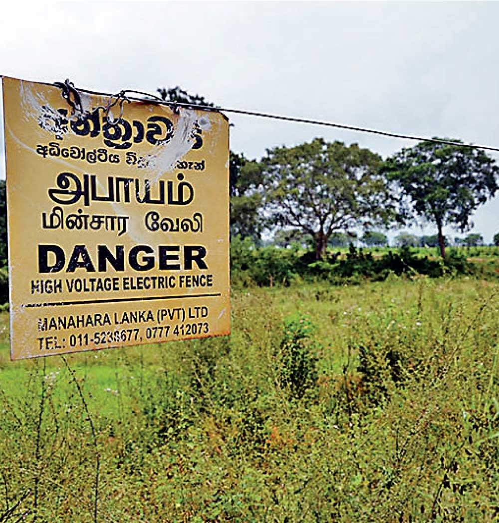 වන 6