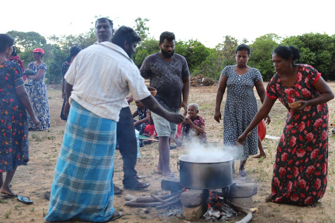 මුල්ලි 3