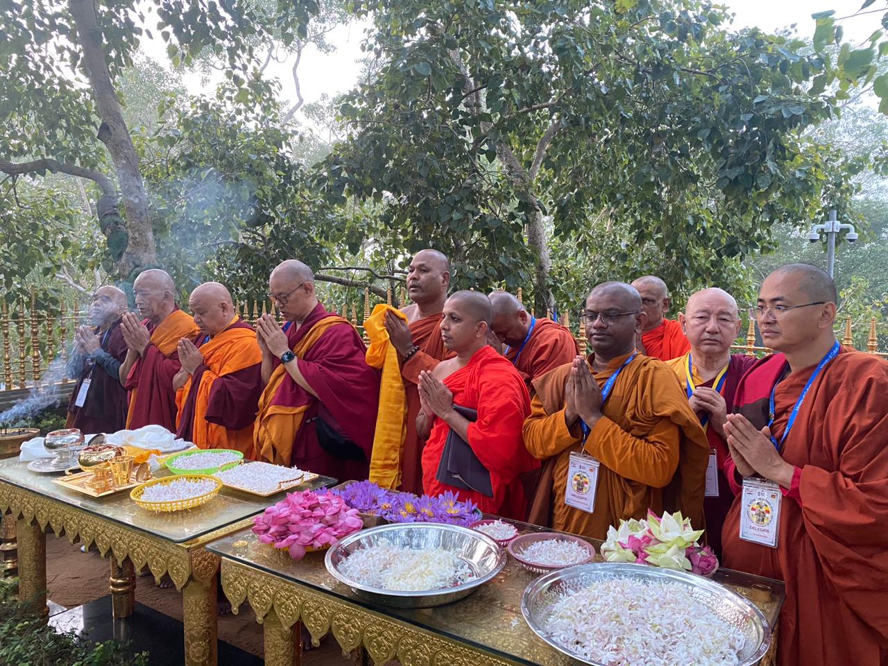 WhatsApp Image 2026 02 08 at 12.56.36