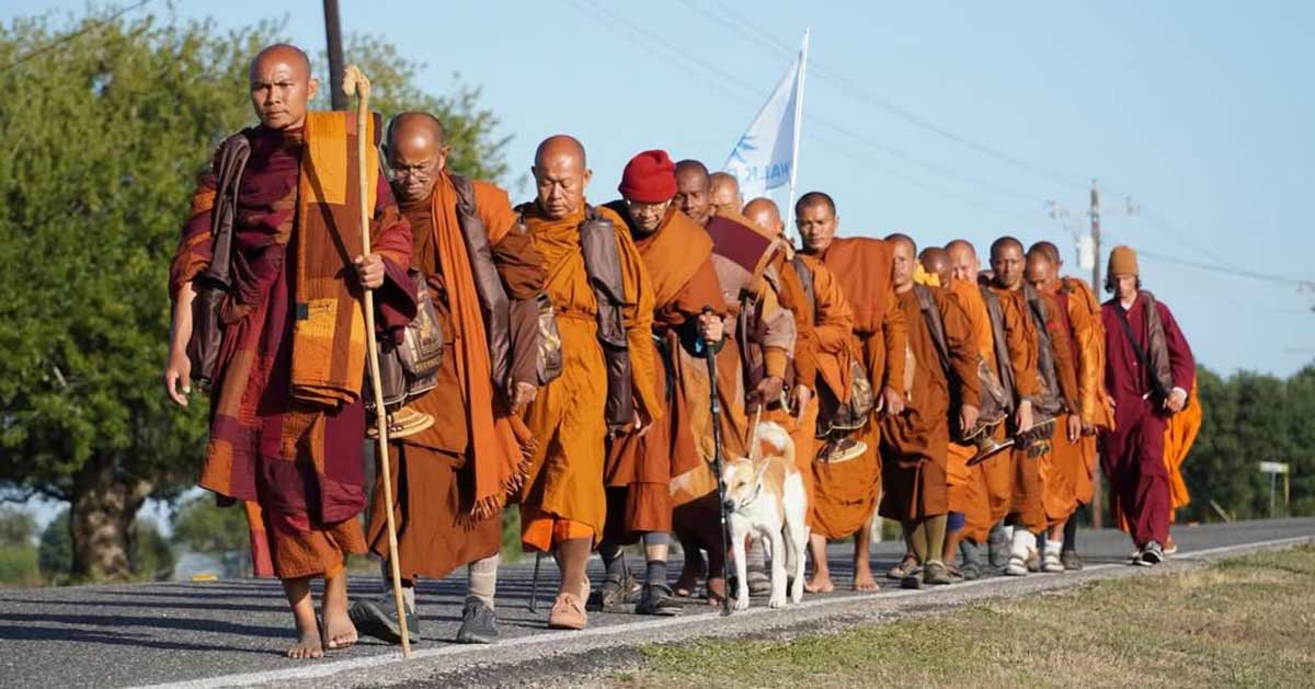6945c4f1b875616878aba665 buddhist monks peace walk dog