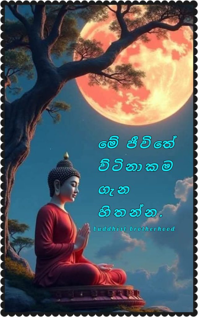 IMG 20260128 WA0000 640x1024