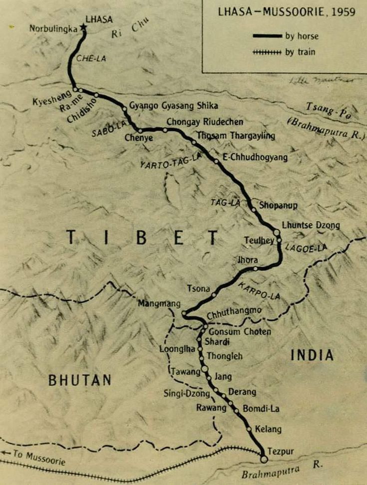 WhatsApp Image 2026 03 10 at 10.30.51