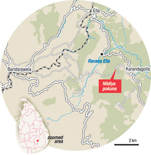 නිල්දිය_2.jpeg