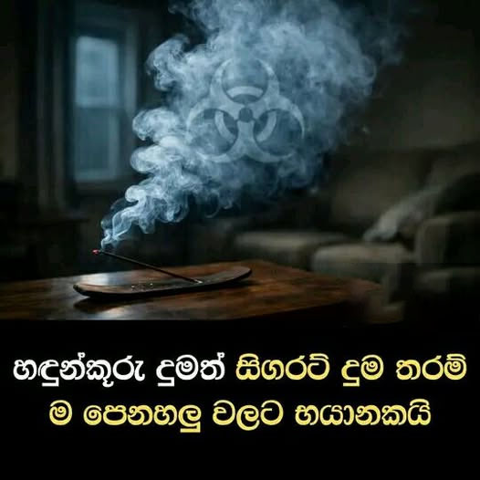 හඳුන්_3.jpeg